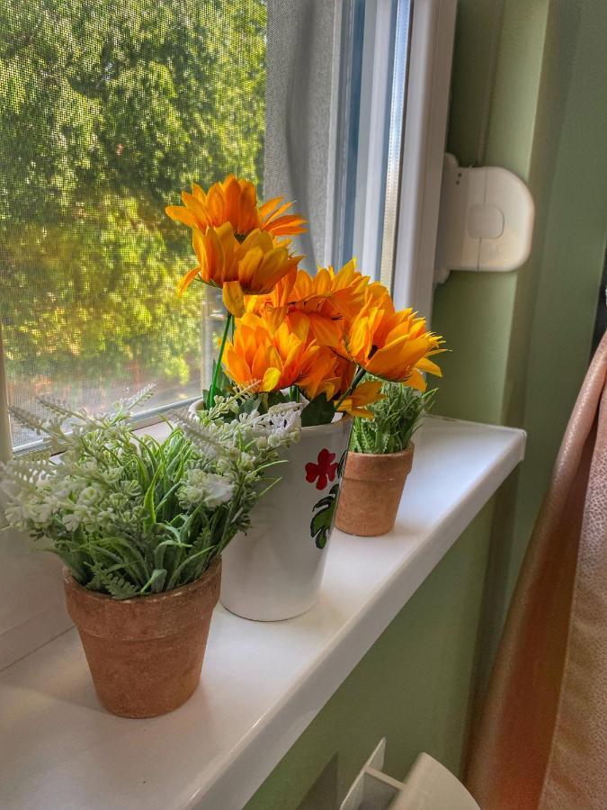 Apartman Diana Sremska Mitrovica Exteriör bild